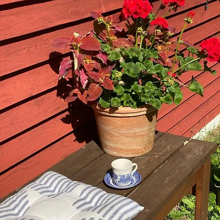 Prázdninový dům Hanson *